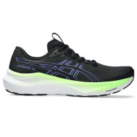 ASICS GEL GT-2000 14   (col 004) Running Shoes 