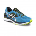ASICS GT-2000 4 (col 4390) Running Shoes 